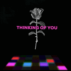 Thinking Of You Geometric Rose