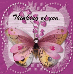 Thinking Of You Pink Butterfly