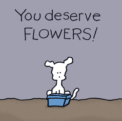 Thinking Of You Sympathy You Deserve Flowers GIF