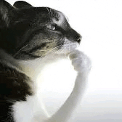 Thinking Pondering Meme GIF