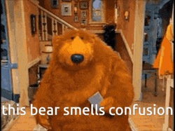 This Bear Smells Confusion