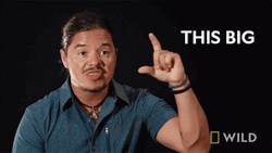 This Big National Geographic Wild GIF