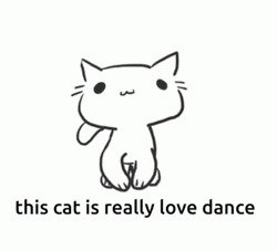 This Cat Is Really Love Dance