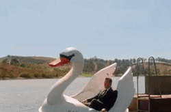 This Duck Boat Gonna Need A Bigger Boat GIF