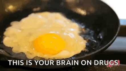 This Egg Is Your Fried Brain GIF