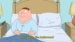 This Family Guy Finding Wife GIF