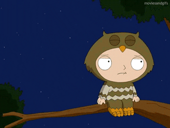 This Guy Stinks Says Owl On Stewie GIF