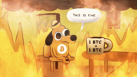 This Is Fine Meme Bitcoin Price Smoke Fire GIF