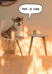 This Is Fine Meme Corgi Cowboy Hat Burning GIF