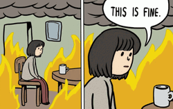 This Is Fine Meme Lady Siting On Fire GIF
