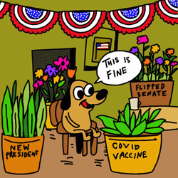 This Is Fine Meme USA Political Situation GIF