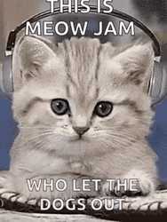 This Is Meow Jam Who Let The Dogs Out Cute GIF