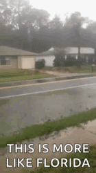 This Is More Like Florida Naked Man GIF