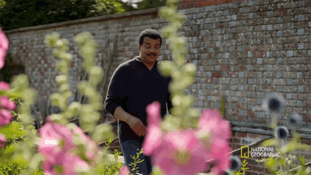 This Is Our First Contact Story Neil De Grasse Tyson GIF