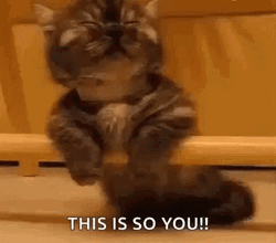 This Is So You Having Tired Monday GIF