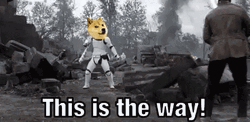 This Is The Way Dog Peep Versus Coin GIF