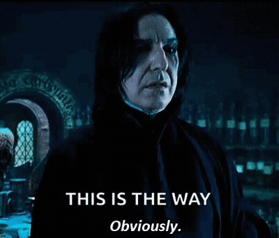 This Is The Way GIF