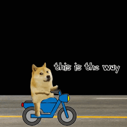 This Is The Way Meme Dog Driving GIF