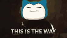 This Is The Way Weird Cat GIF