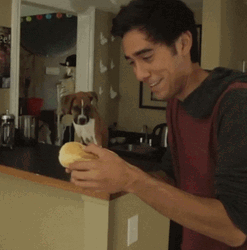 This Isn't Hotdog Fingers It's Just Hot Dog GIF