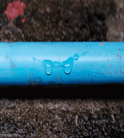 This Needs Good Plumbing Little Plumber GIF