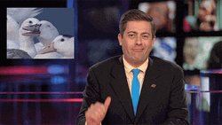 This News Anchor Guy Stinks GIF