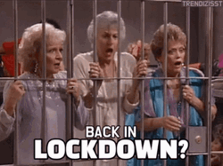 This Place Is A Prison Back In Lockdown The Golden Girls GIF