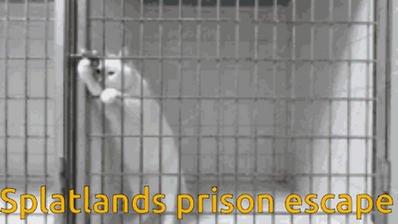 This Place Is A Prison Cat Escape GIF