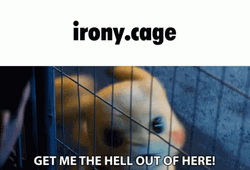 This Place Is A Prison Pokemon Detective Pikachu  GIF