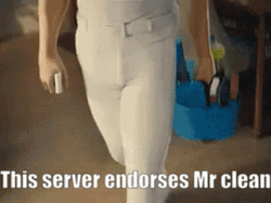 This Server Endorses Mr Clean Meme GIF
