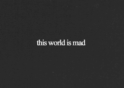 This World Is Mad Word GIF