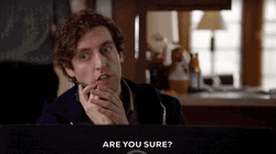 Thomas Middleditch Asking Are You Sure  GIF