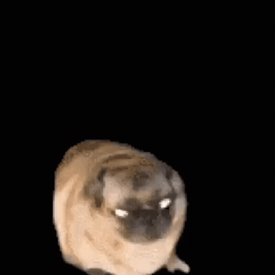 Those Who Watch Will Be Rewarded With Cookie GIF