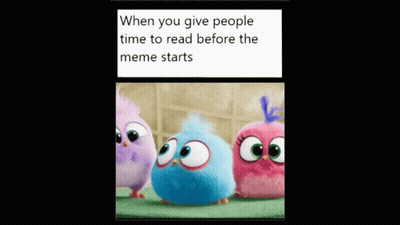 Three Angry Birds Meme Giving Time To Read GIF