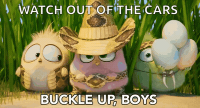 Three Angry Birds Watch Out Of The Cars Buckle Up Boys GIF
