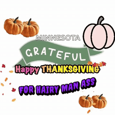 Three Anime Girls Flying With Minnesota Below GIF