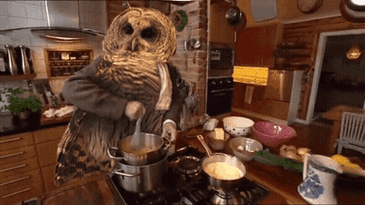 Three Baby Owls Sitting On Tree Branch GIF
