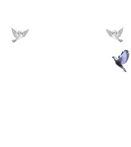 Three Birds Flying In A Row Sticker