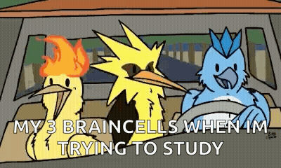 Three Birds Sitting In Car Saying My 3 Braincells GIF