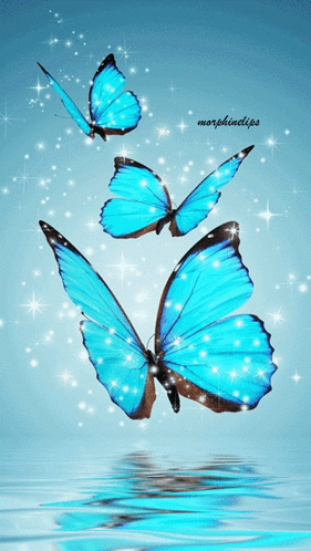 Three Blue Butterflies Are Flying Over A Body Of Water With Morphinclips Written On The Bottom GIF