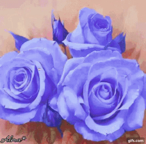 Three Blue Roses With Name Alina GIF