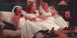 Three Brides GIF