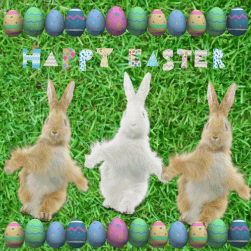 Three Bunny Rabbits Are Dancing In The Grass With Easter Eggs Behind Them GIF