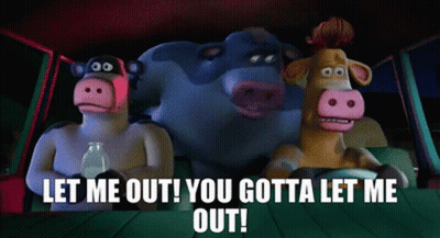 Three Cartoon Cows In Car Saying Let Me Out You Gotta Let Me Out GIF