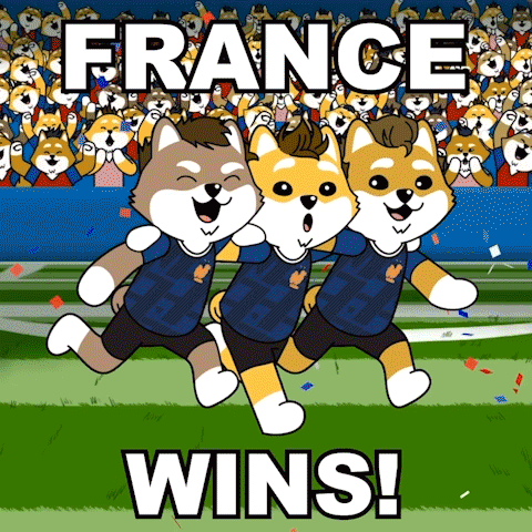 Three Cartoon Dogs Are Running On A Field With The Words France Wins GIF