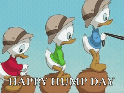 Three Cartoon Ducks On Hay Saying Happy Hump Day GIF