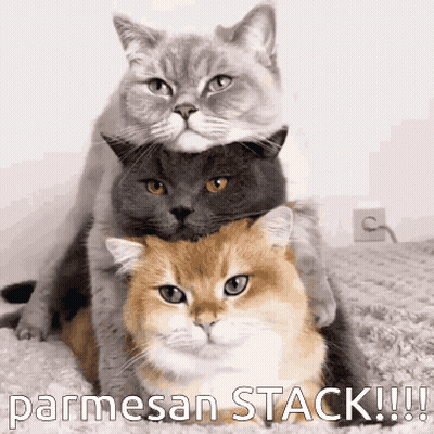 Three Cats Are Stacked On Top Of Each Other And The Caption Says Parmesan Stack !!! GIF