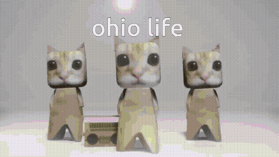 Three Cats Are Standing Next To Each Other On A Pink Background With The Words Ohio Life Written Above Them . GIF