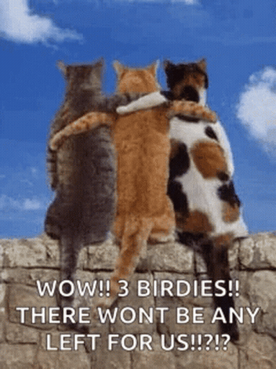 Three Cats Hugging On A Wall GIF