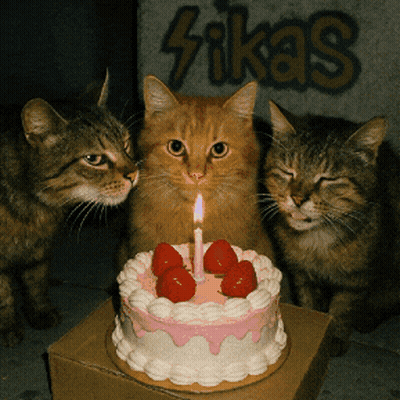 Three Cats Looking At Birthday Cake With Strawberries And Candle GIF